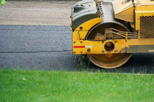 Best Brick Driveway Pavers  in Orlovista, FL